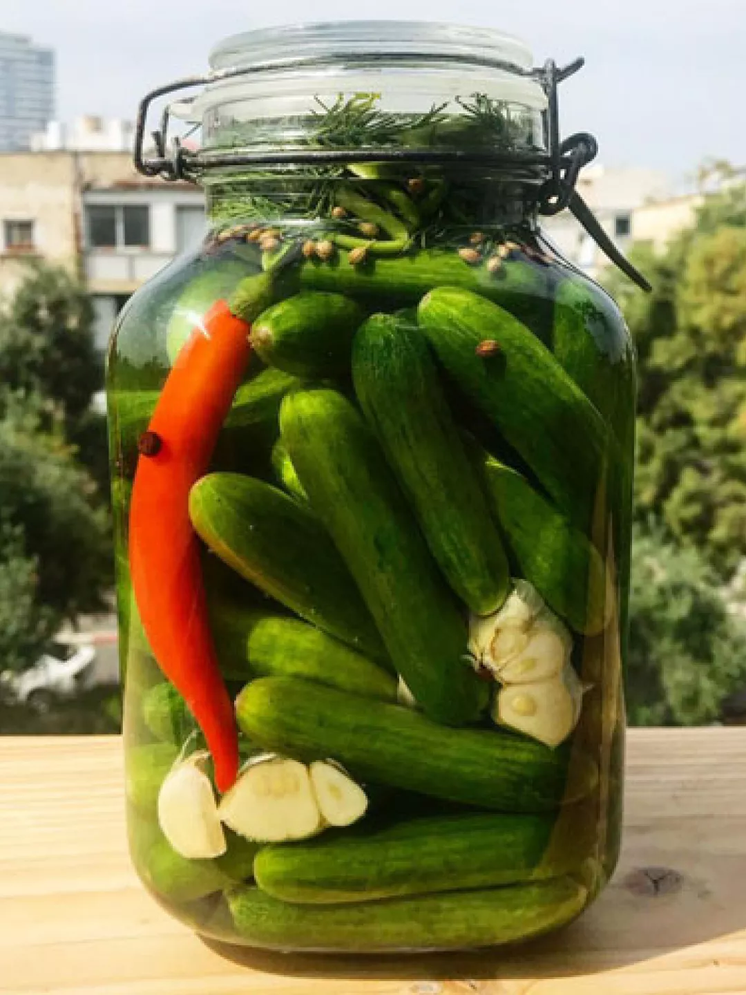Pickling and Fermentation Online Best Courses & Classes by NYK